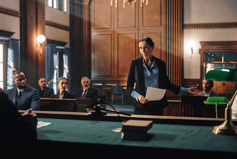 Business and Commercial Litigation